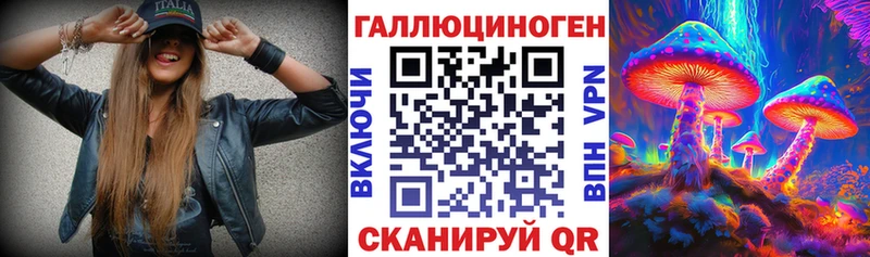 Псилоцибиновые грибы Cubensis закладки Тавда