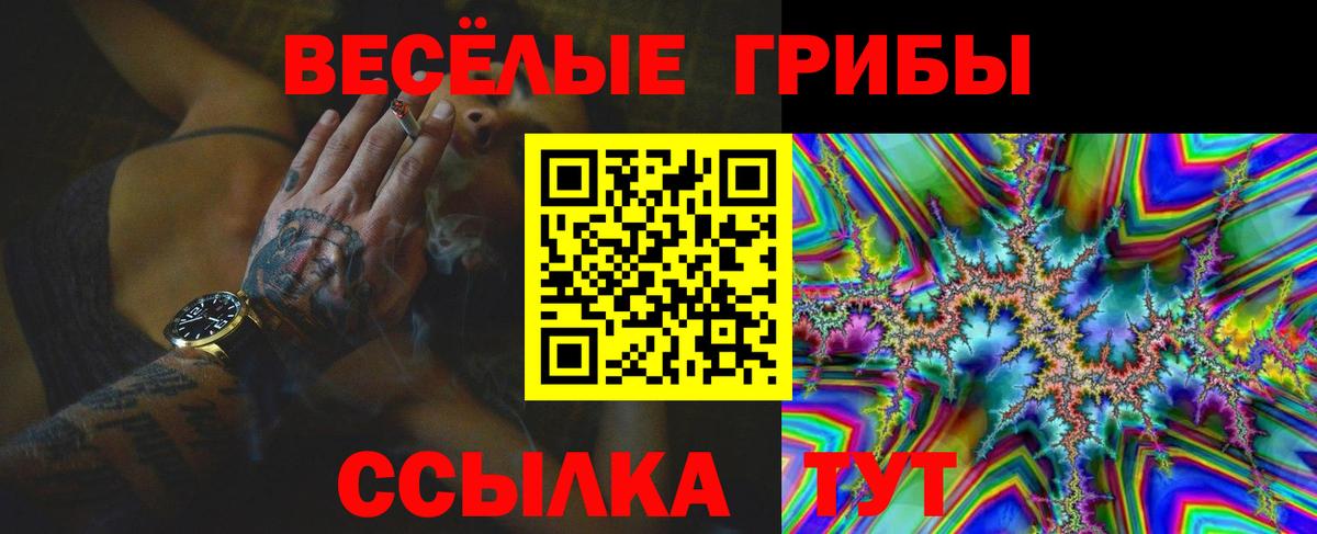 Галлюциногенные грибы Cubensis  Вход с VPN  Тавда 